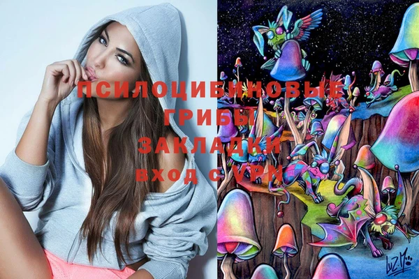 спайс Алзамай