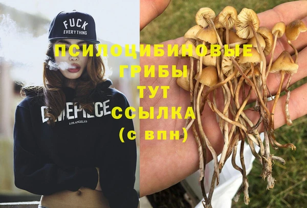 ГАЛЛЮЦИНОГЕННЫЕ ГРИБЫ Алексин