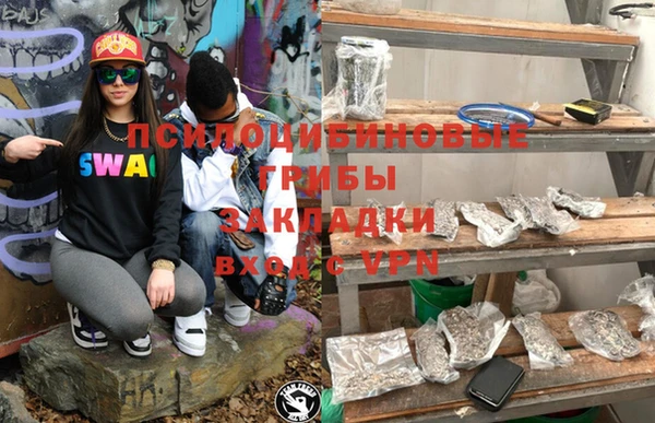 a pvp Абаза