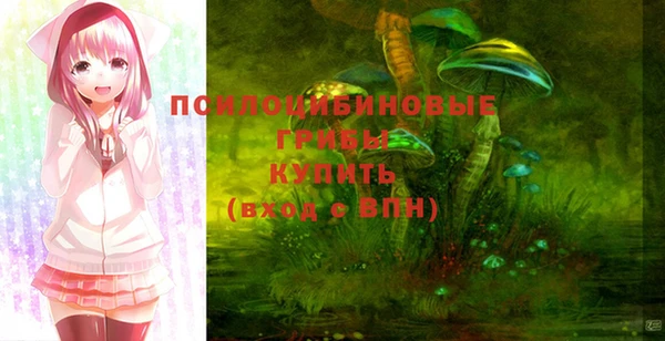 ГАЛЛЮЦИНОГЕННЫЕ ГРИБЫ Алексин