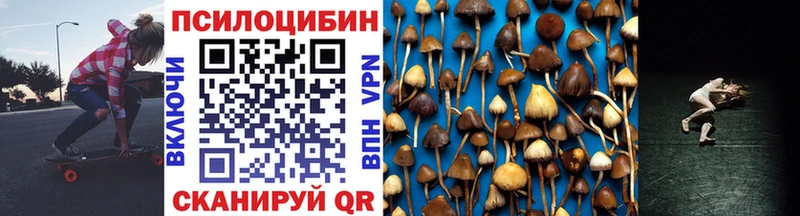 Псилоцибиновые грибы Cubensis  Калининград 