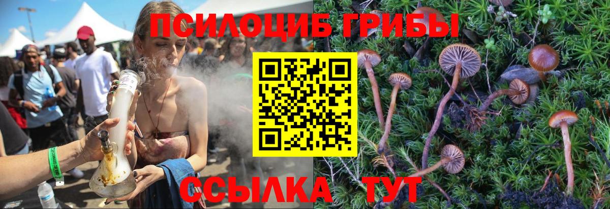 Калининград  Галлюциногенные грибы Cubensis  Вход с VPN 